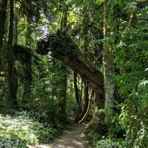 Meet your Posher, Demitra